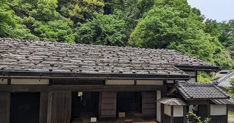 杂损扣除与灾害减免法哪个更划算|计算方法与选择
